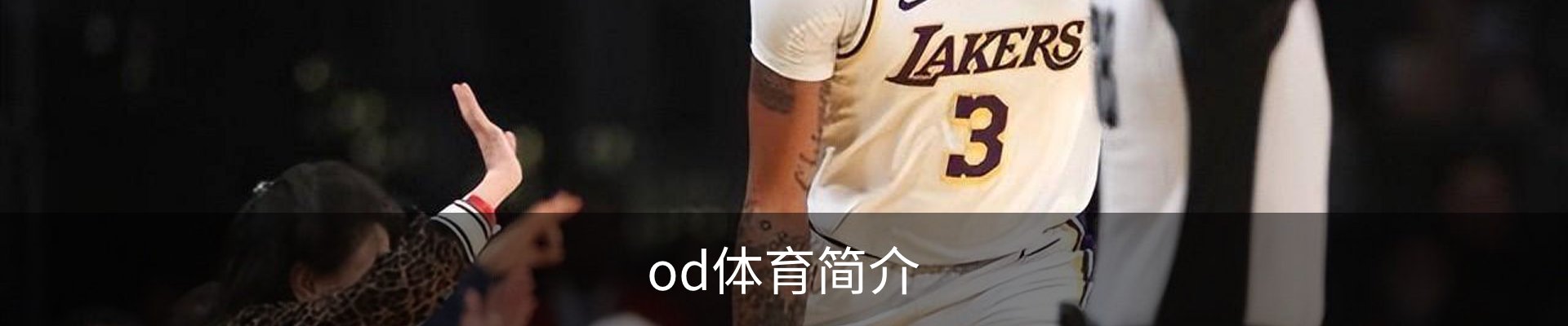 od体育简介